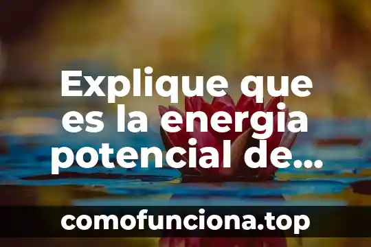 Definición de que es la psicología cognoscitiva 6 Explique que es la energia potencial de los fluidos