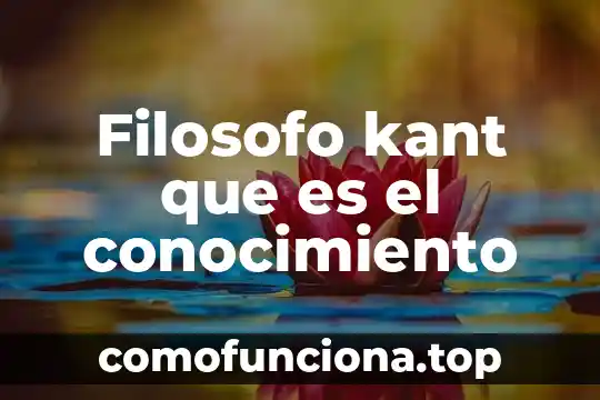 Que es un principe de libertad segun kant 4 Filosofo kant que es el conocimiento