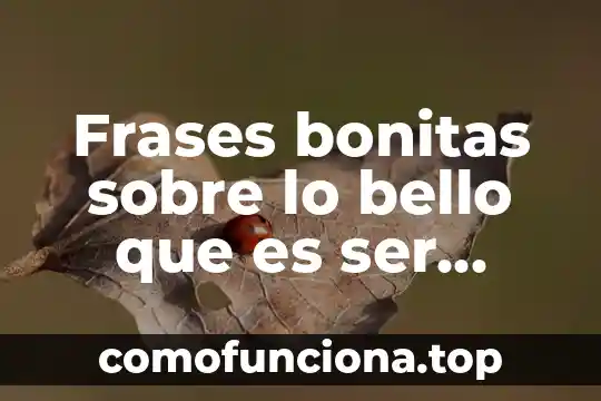 Yo tengo una tía que es como mi mamá 5 Frases bonitas sobre lo bello que es ser mama