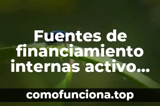 Qué es una sociedad políticamente activo 5 Fuentes de financiamiento internas activo que es