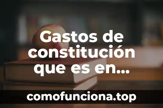 Que es la constitución política fecha 7 Gastos de constitución que es en contabilidad