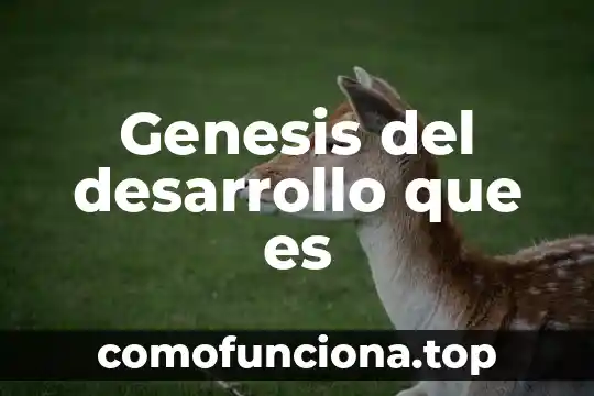 Que es el desarrollo personal en una empresa 4 Genesis del desarrollo que es