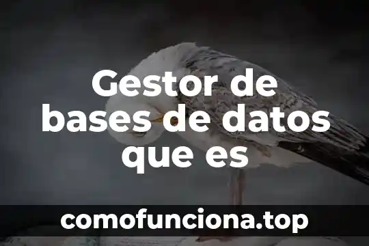 Que es número fe cede 7 Gestor de bases de datos que es