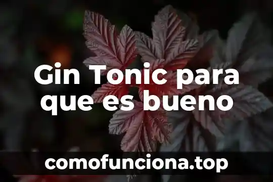 Para que es bueno la flor de cempasúchil 5 Gin Tonic para que es bueno