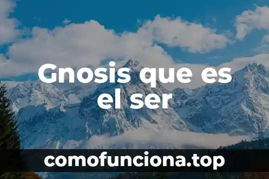 Que es el hombre como ser biologico 6 Gnosis que es el ser