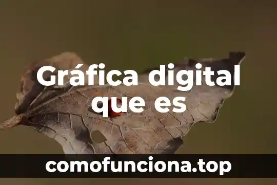 Qué es gráfica en arte 8 Gráfica digital que es