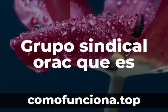 Significa que es tecnología 6 Grupo sindical orac que es