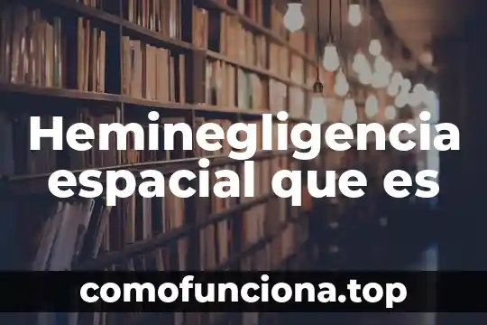 Que es razonamiento visual y espacial 3 Heminegligencia espacial que es