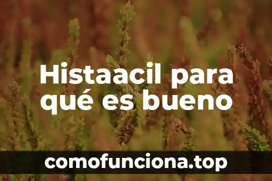 Por que es bueno hacer tesis 8 Histaacil para qué es bueno