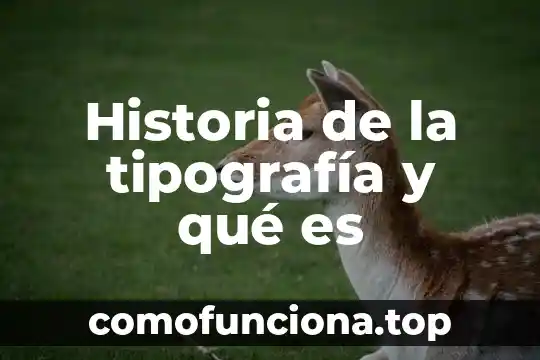 Que es onomástica en historia 5 Historia de la tipografía y qué es