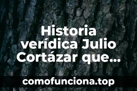 Que es nación en historia 3 Historia verídica Julio Cortázar que es