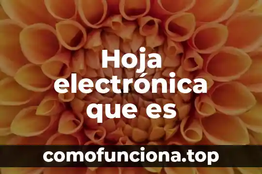 Que es la biodiversidad significado mas de una hoja 5 Hoja electrónica que es