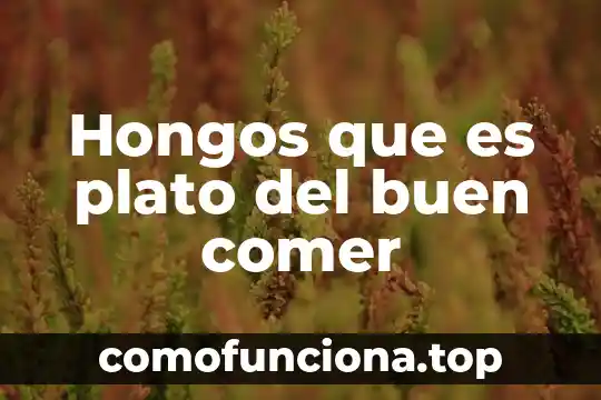 Que es el plato del buen comer concepto 3 Hongos que es plato del buen comer