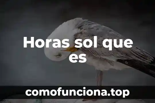 Aire acondicionado water-source que es 5 Horas sol que es