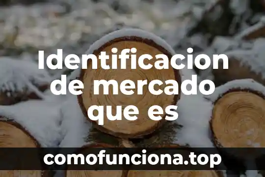 Que es antropología como metodo de identificacion 3 Identificacion de mercado que es