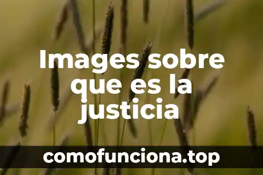 Qué es embragues mecánicos 6 Images sobre que es la justicia