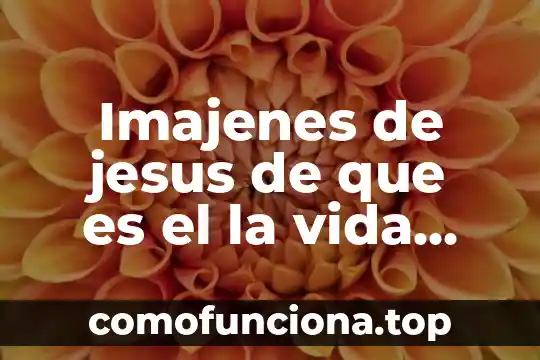 Que es la planta corazon de jesus 3 Imajenes de jesus de que es el la vida animadas
