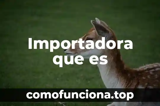 Qué es número de referencia PM0000000 3 Importadora que es
