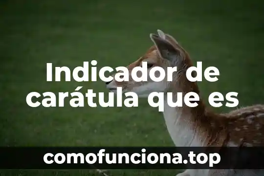 Que es la caratula de historia 5 Indicador de carátula que es