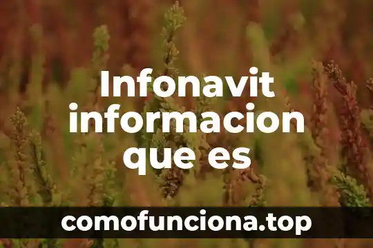 Informacion de lo que es reproduccion 5 Infonavit informacion que es