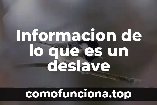 Que es un calendario de trabajo en una tesis 7 Informacion de lo que es un deslave