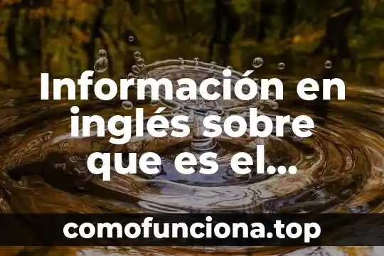 Nombre en ingles para gente que es de baja sociedad 5 Información en inglés sobre que es el alfabeto