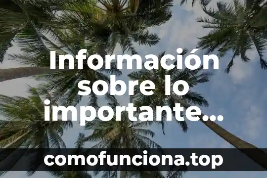Motivos por los que es importante decir la verdad 4 Información sobre lo importante que es la comida en China