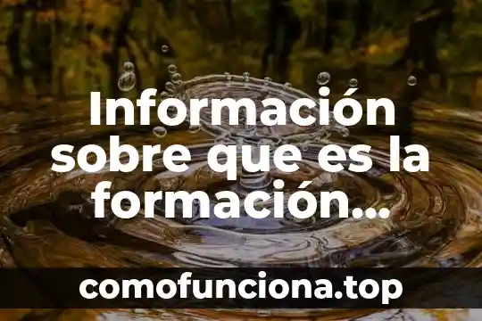 Qué es el concepto de educación cívica y ética 7 Información sobre que es la formación cívica y ética