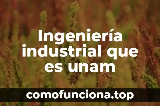Que es la ingenieria de procesos planta uaeh 5 Ingeniería industrial que es unam
