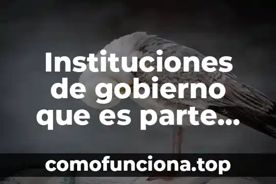 Que es el sexto informe de gobierno 8 Instituciones de gobierno que es parte del legado virreinal