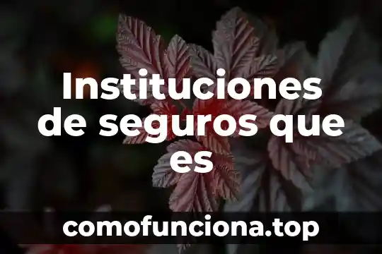 Que es el conocimiento en las instituciones 4 Instituciones de seguros que es