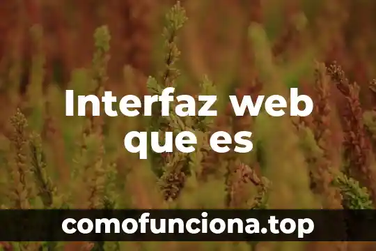 Web que es infantil nombre 6 Interfaz web que es