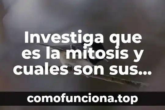 Que es dialecto y cuales son 4 Investiga que es la mitosis y cuales son sus funciones