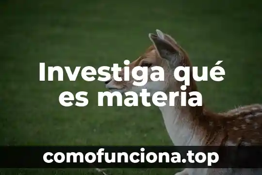 Que es lo fundamnetal en la materia y la conciencia 3 Investiga qué es materia