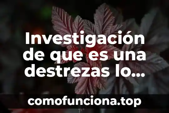Por que es importante cumplir con tus obligaciones como contribuyente 3 Investigación de que es una destrezas lo mas importante