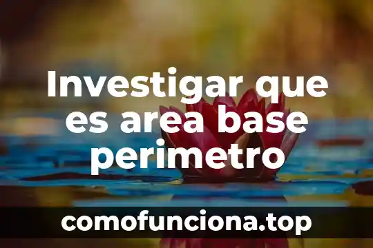 Área de apacentamiento que es 6 Investigar que es area base perimetro