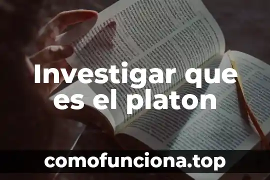 Qué es la teoría política de platón 6 Investigar que es el platon