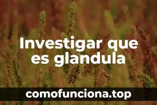 ¿Qué es huraño el significado? 3 Investigar que es glandula