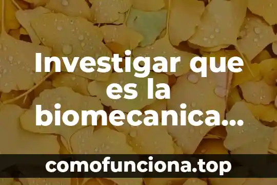 Conocimiento geográfico que es 8 Investigar que es la biomecanica con dibujos
