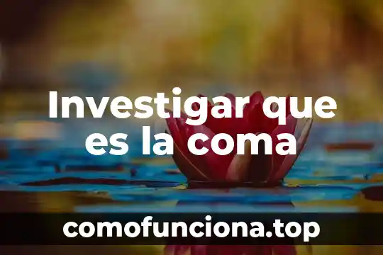 Qué es coma flotante 4 Investigar que es la coma