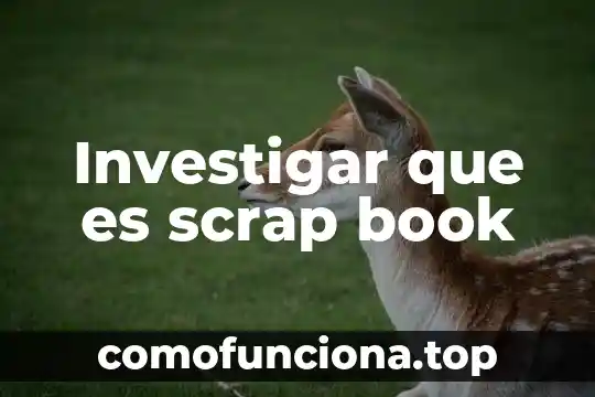 Qué es el patrimonio neto de un proyecto financiero 7 Investigar que es scrap book