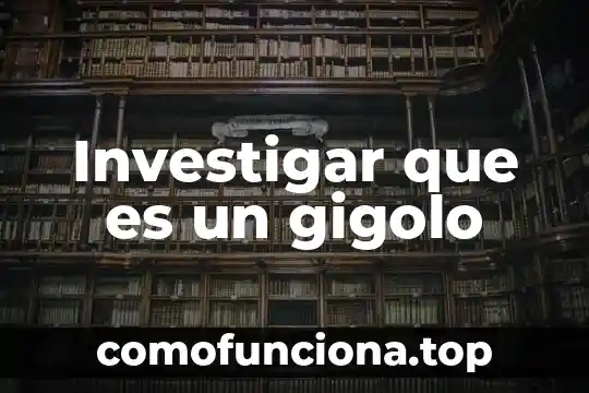 Menciona el significado de lo que es un sistema 5 Investigar que es un gigolo