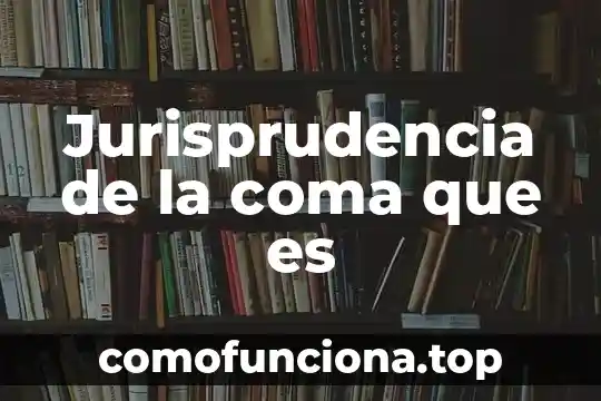 Qué es coma flotante 3 Jurisprudencia de la coma que es