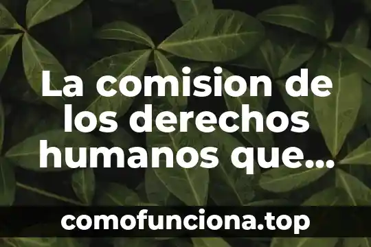 Que es diagrama tecnico 4 La comision de los derechos humanos que es