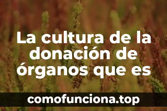 Que es la sierra de los organos 5 La cultura de la donación de órganos que es