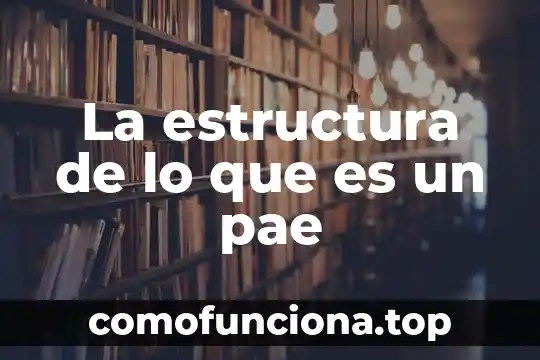 Java Server Faces que es significado 8 La estructura de lo que es un pae