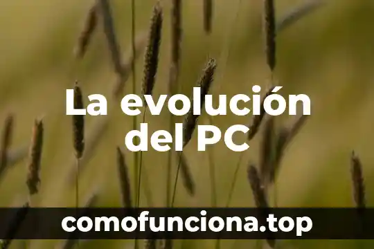 Que es evolucion concepto 6 La evolución del PC