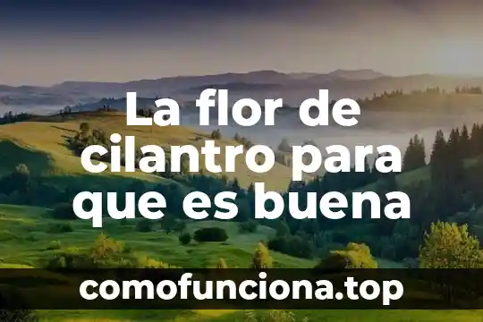 Role of modeling que es 6 La flor de cilantro para que es buena