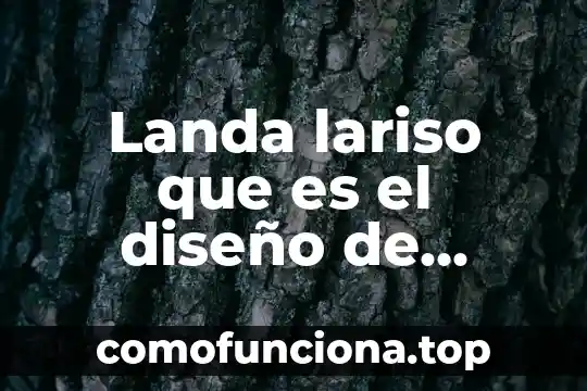 Diseño digital que es y para que sirve 3 Landa lariso que es el diseño de moda