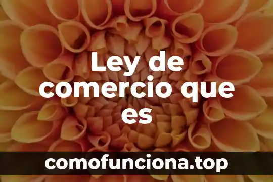 Stocking que es comercio internacional 8 Ley de comercio que es